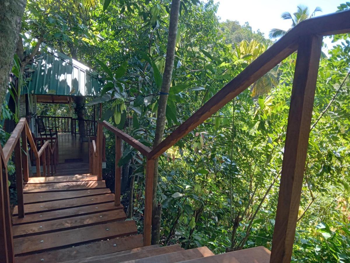 Cinnamon View Lodge Mirissa Extérieur photo