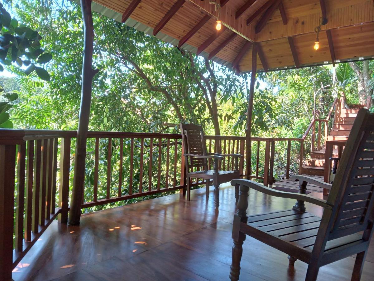 Cinnamon View Lodge Mirissa Extérieur photo