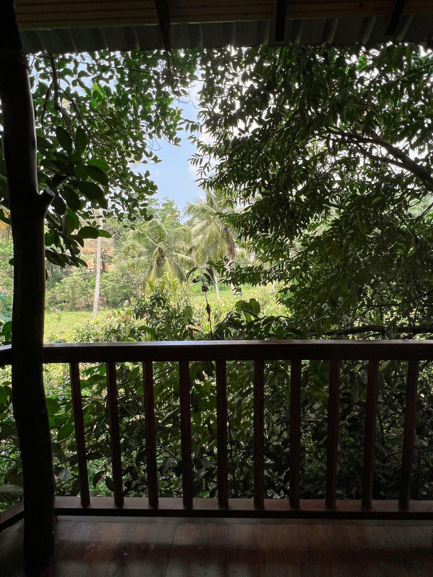 Cinnamon View Lodge Mirissa Chambre photo