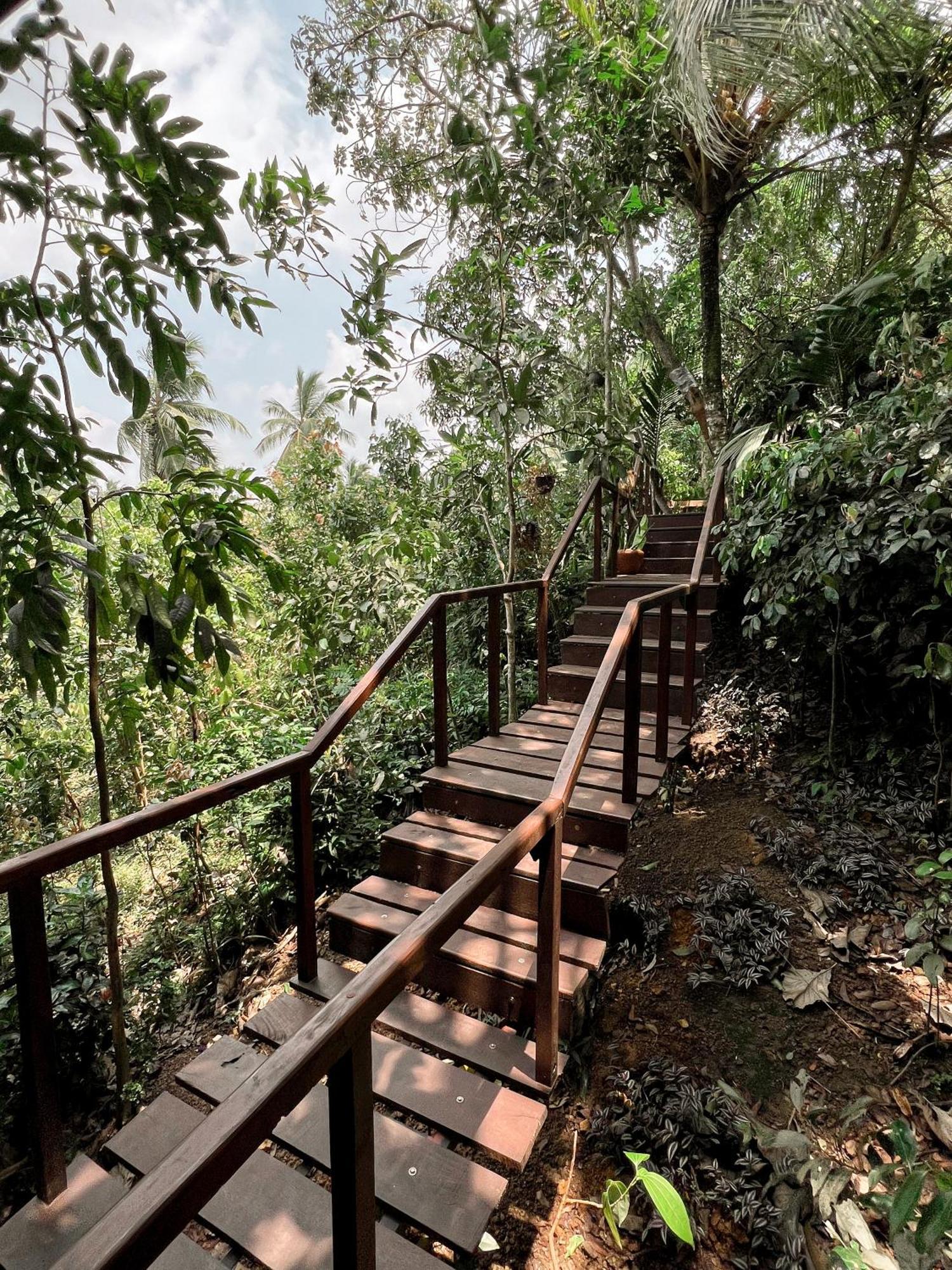 Cinnamon View Lodge Mirissa Chambre photo
